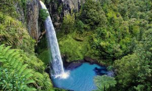 Live in New Zealand, falls